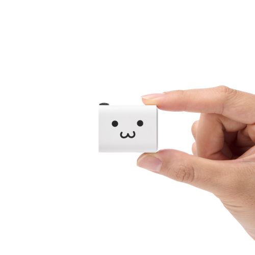 AC充電器/USB充電器/USB PD/30W/USB-C1ポート/しろちゃん