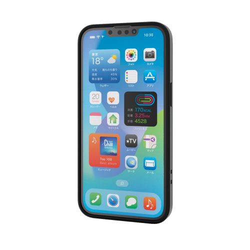iPhone 17e/16e/ハイブリッドケース/極限Plus/マットブラック