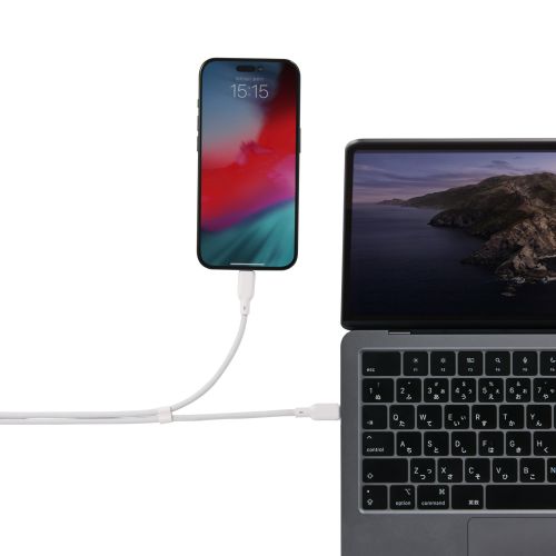 2in1 USBケーブル/Type-C+Type-C/ナイロンメッシュ/USB Power Delivery対応/最大140W/1.2m/ホワイト