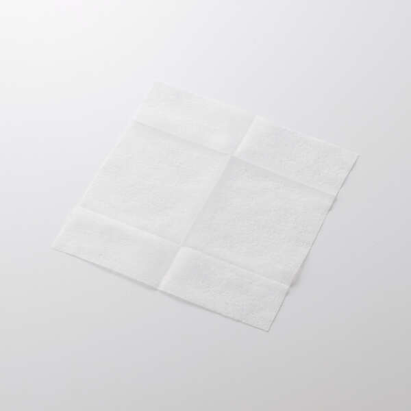 ウェットティッシュ/汚れ落とし/ハンディ/100枚