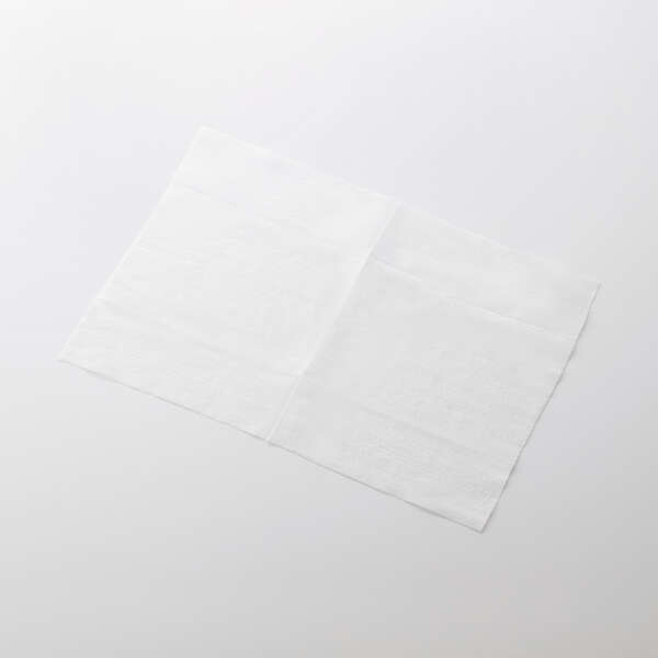 ウェットティッシュ/ウイルス除去/ピロー/20枚