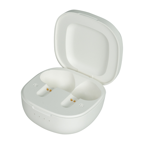 集音器 イヤリスチャージ イヤホン型両耳 密閉タイプ