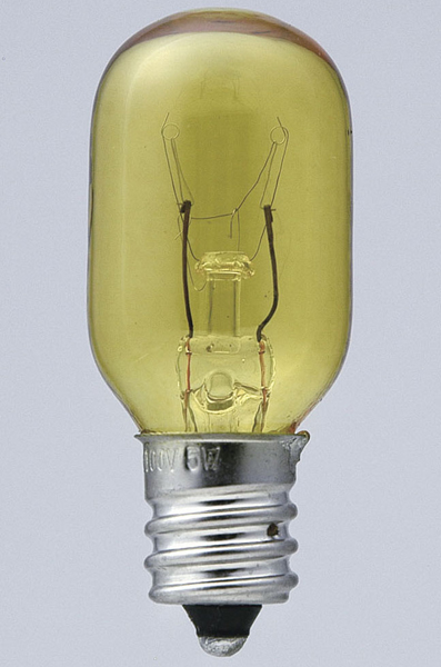 生地色ナツメ球 5W