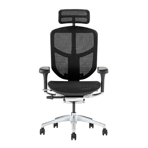 EJ2-HAM-BF-BK【PU】 エルゴヒューマン エンジョイII ハイタイプ ブラックフレーム/ブラック