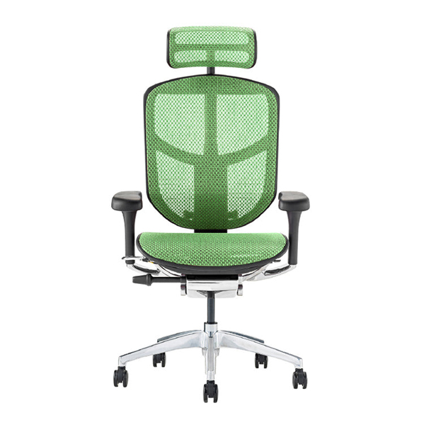 EJ2-HAM-BF-GN【PU】 エルゴヒューマン エンジョイII ハイタイプ ブラックフレーム/グリーン