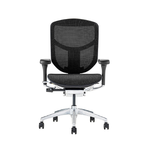 EJ2-LAM-BF-BK【PU】 エルゴヒューマン エンジョイII ロータイプ ブラックフレーム/ブラック