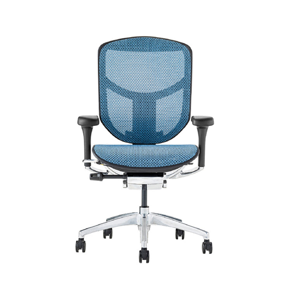 EJ2-LAM-BF-BL【PU】 エルゴヒューマン エンジョイII ロータイプ ブラックフレーム/ブルー