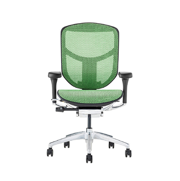 EJ2-LAM-BF-GN【PU】 エルゴヒューマン エンジョイII ロータイプ ブラックフレーム/グリーン