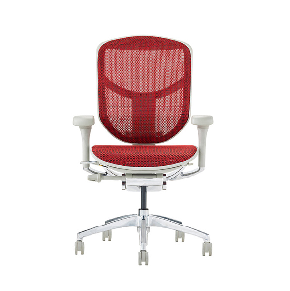 EJ2-LAM-GF-RD【PU】 エルゴヒューマン エンジョイII ロータイプ グレーフレーム/レッド