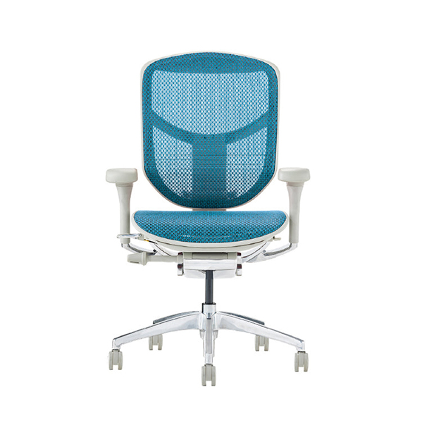 EJ2-LAM-GF-BL【PU】 エルゴヒューマン エンジョイII ロータイプ グレーフレーム/ブルー