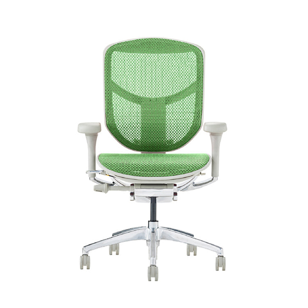 EJ2-LAM-GF-GN【PU】 エルゴヒューマン エンジョイII ロータイプ グレーフレーム/グリーン