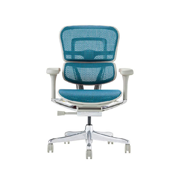 EHP2-LAM-DR-GF-BL【PU】新基盤 エルゴヒューマン プロII ロータイプ 新基盤 グレーフレーム/ブルー