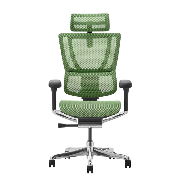 FIT2-HAM-DR-BF-GN【新基盤】 エルゴヒューマン フィットII ハイタイプ 新基盤 ブラックフレーム/グリーン