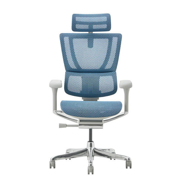 FIT2-HAM-DR-GF-BL【新基盤】 エルゴヒューマン フィットII ハイタイプ 新基盤 グレーフレーム/ブルー