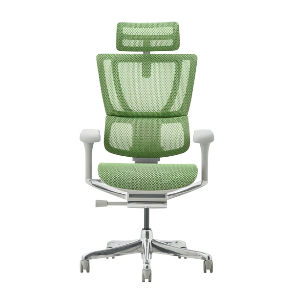 FIT2-HAM-DR-GF-GN【新基盤】 エルゴヒューマン フィットII ハイタイプ 新基盤 グレーフレーム/グリーン