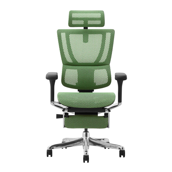 FIT2-LPL-DR-BF-GN【新基盤】 エルゴヒューマン フィットII ハイタイプ オットマン付 新基盤 ブラックフレーム/グリーン