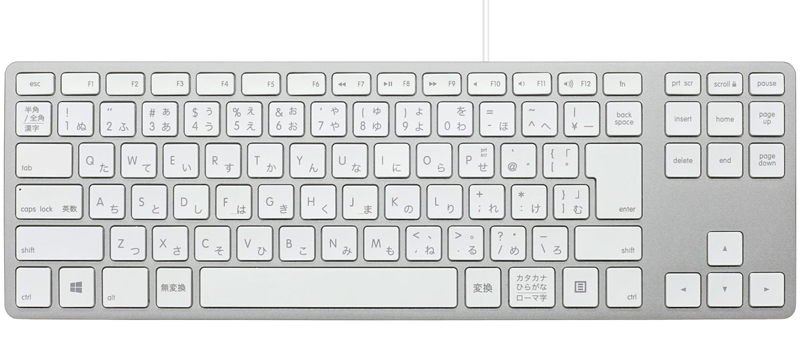 Matias Wired Aluminum Tenkeyless keyboard for PC - Silver 日本語配列