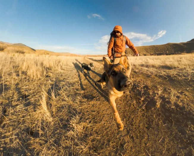 MAX2 + アクセサリーセット