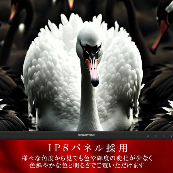 ゲーミングモニター 23.8型/1920×1080/HDMI、DP/ブラック/スピーカー：あり/IPSパネル/178度/広視野角/高解像度/フルHD/165Hz/ブルーライト軽減/フレームレス