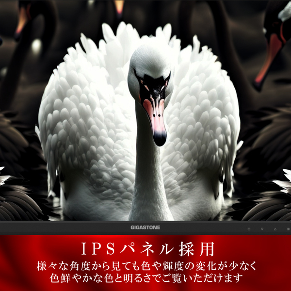 Gigastone モニター 27インチ IPSパネル 178度 広視野角 高解像度 ディスプレイ フルHD 75Hz ブルーライト軽減 フレームレス