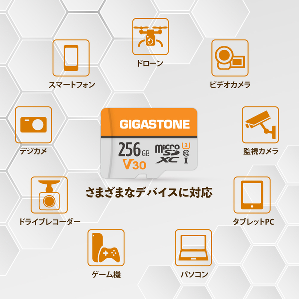 microSDXCカード 256GB 2枚セット SDカードケース付き UHS-I U1 V30 Class10 最大読み取り速度100MB/s ビデオ録画 一眼レフカメラ スマホ データ保存 ドローン