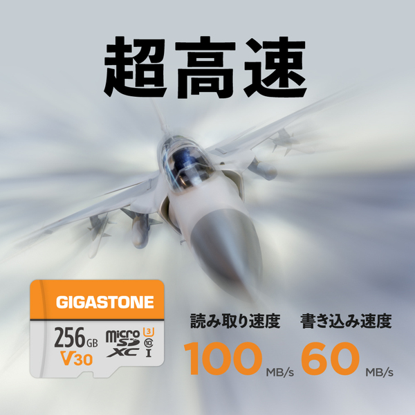 microSDXCカード 256GB 2枚セット SDカードケース付き UHS-I U1 V30 Class10 最大読み取り速度100MB/s ビデオ録画 一眼レフカメラ スマホ データ保存 ドローン