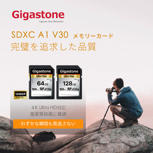 SDXCカード 128GB Class10 UHS-I U1 A1 V30スペック 最大読み取り速度100MB/s 4K & Full HDカメラ パソコン 写真 動画データ保存
