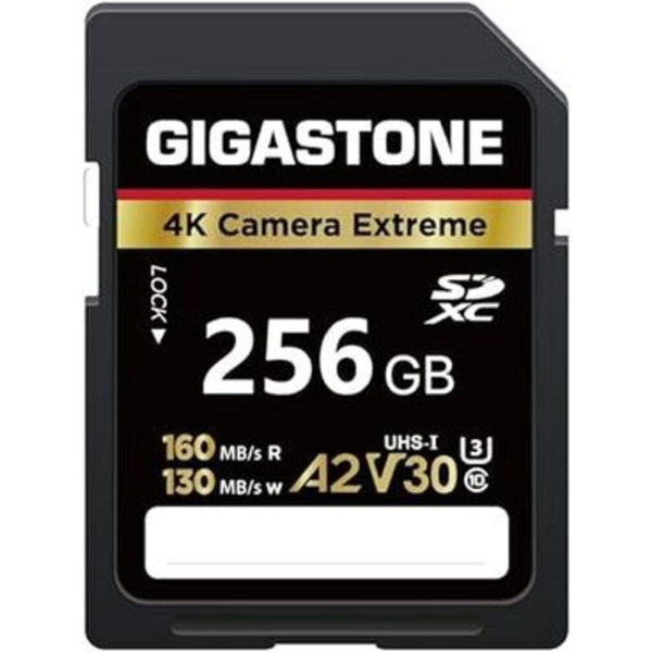 Gigastone SD card 256GB UHS-1U3 V30 A2スペック SDカード 最大読み取り速度160MB/s 4Kビデオ撮影対応 Cemera  Extreme ギガストーン