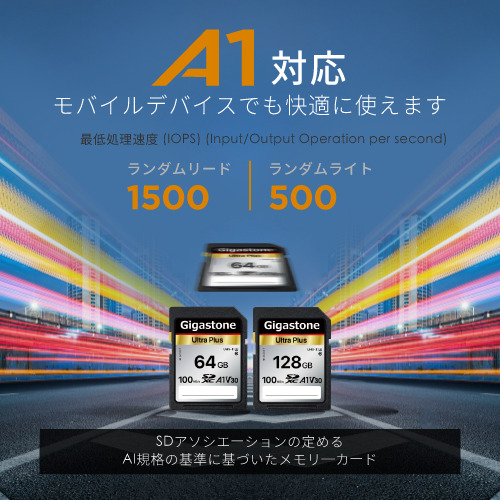 SDXCカード 256GB Class10 UHS-I U1 A1 V30スペック 最大読み取り速度100MB/s 4K & Full HDカメラ パソコン 写真 動画データ保存
