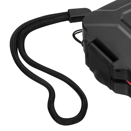 ハードメモリーカードケース SD4 レッド