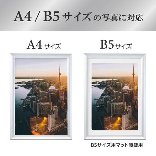 アルミ額縁 PEORIA+ (ペオリアプラス) A4/B5サイズ シルバー