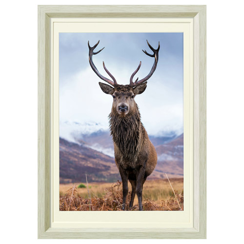 Chululu(チュルル) フォトフレーム P01 B5/A4/クリアファイルサイズ ホワイト