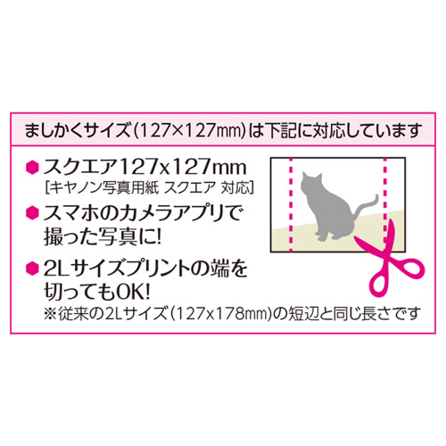ましかくサイズ（127×127mm）とは