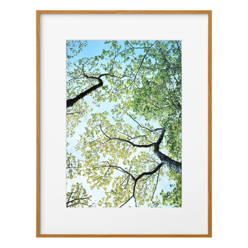 ZEROフレーム G-01 A3 ナチュラル