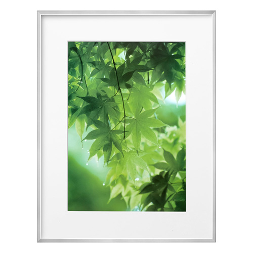 ZEROフレーム G-01 A3 シルバー