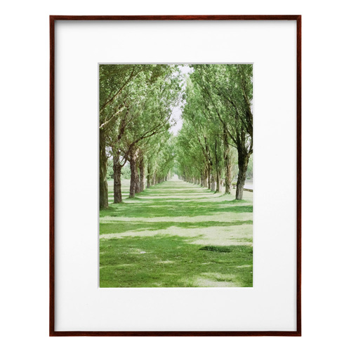 ZEROフレーム G-01 A4 ブラウン