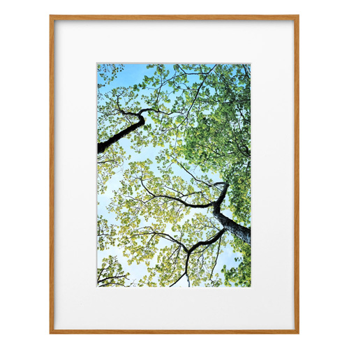 ZEROフレーム G-01 A4 ナチュラル