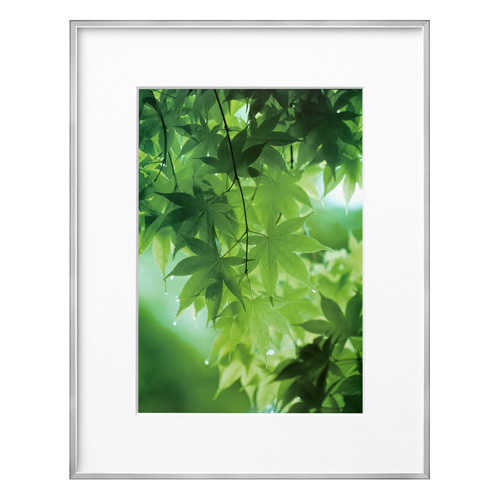 ZEROフレーム G-01 A4 シルバー