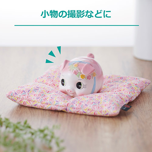 カメラ 座・ぶとん 21 麻の葉