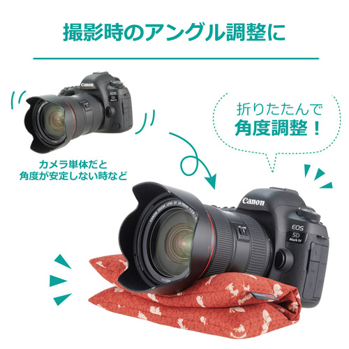 カメラ 座・ぶとん 21 飛び兎