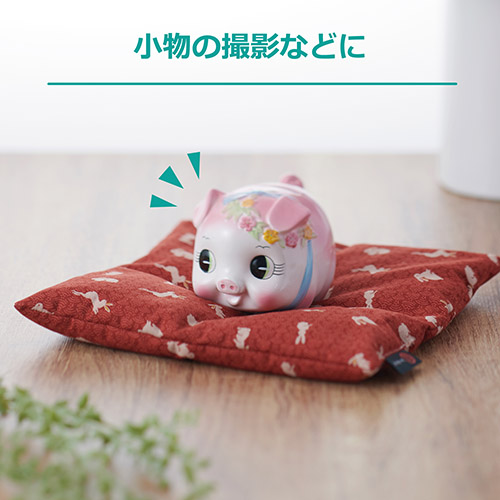 カメラ 座・ぶとん 21 飛び兎
