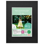 インサートカラーペーパースタンド Lサイズ ブラック