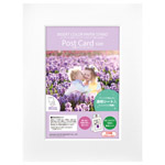 インサートカラーペーパースタンド ポストカードサイズ ホワイト