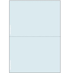 マルチプリンタ帳票 A4地紋2面