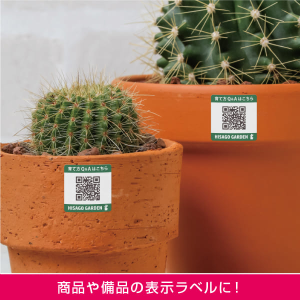 使用イメージ画像