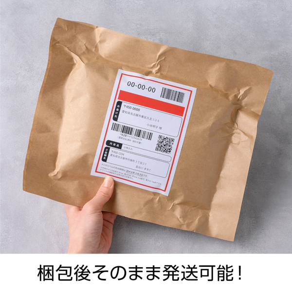 説明画像