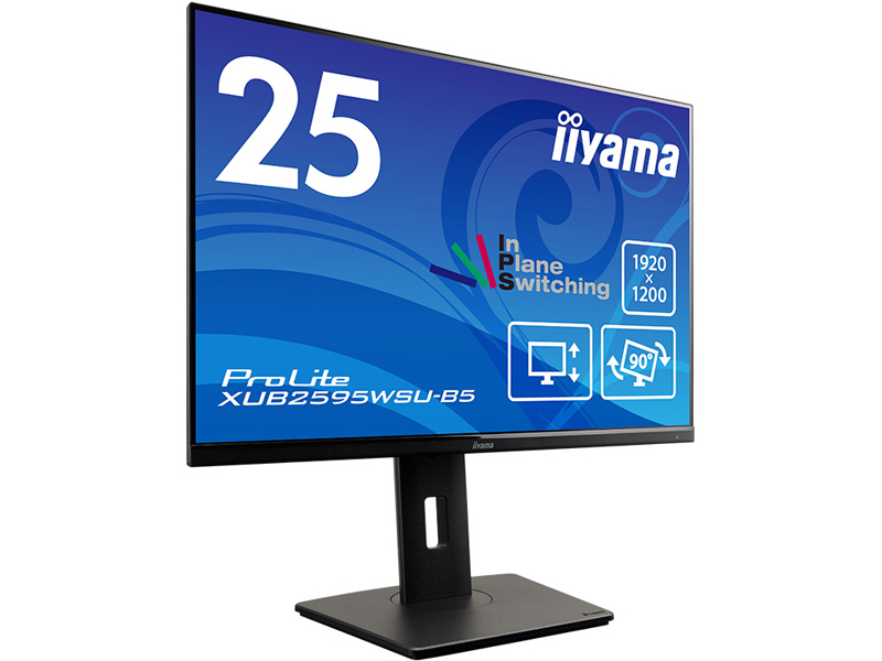 液晶ディスプレイ 25型/1920×1200/D-sub、HDMI、DisplayPort/ブラック/スピーカー:あり/IPSパネル/昇降/回転