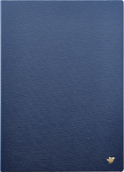 iFLYTEK AINOTE 2 Original Protective Case-Deep Navy