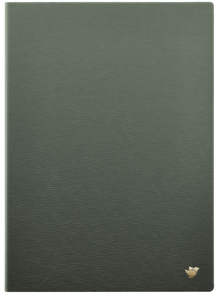 iFLYTEK AINOTE 2 Original Protective Case-Forest