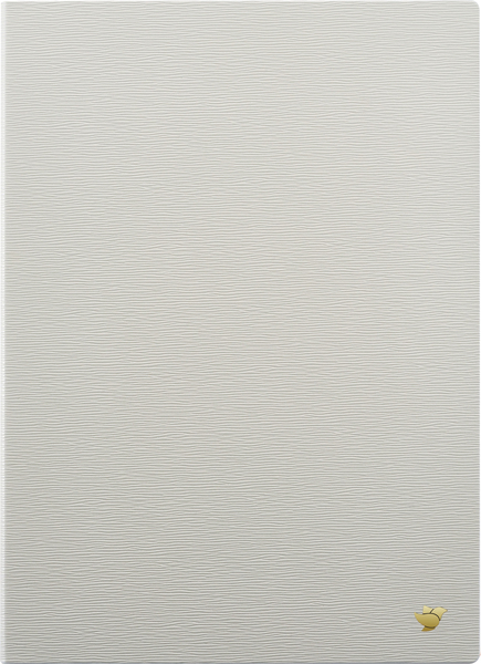 iFLYTEK AINOTE 2 Original Protective Case-Mist